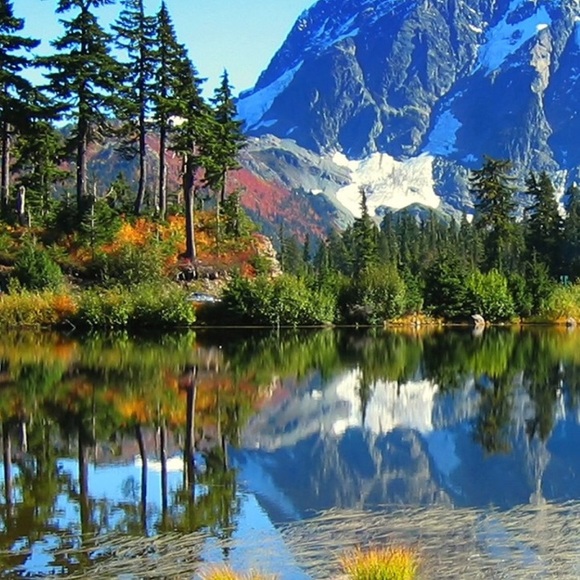 Meet your Posher, Kaylean - Picture 1 of 1